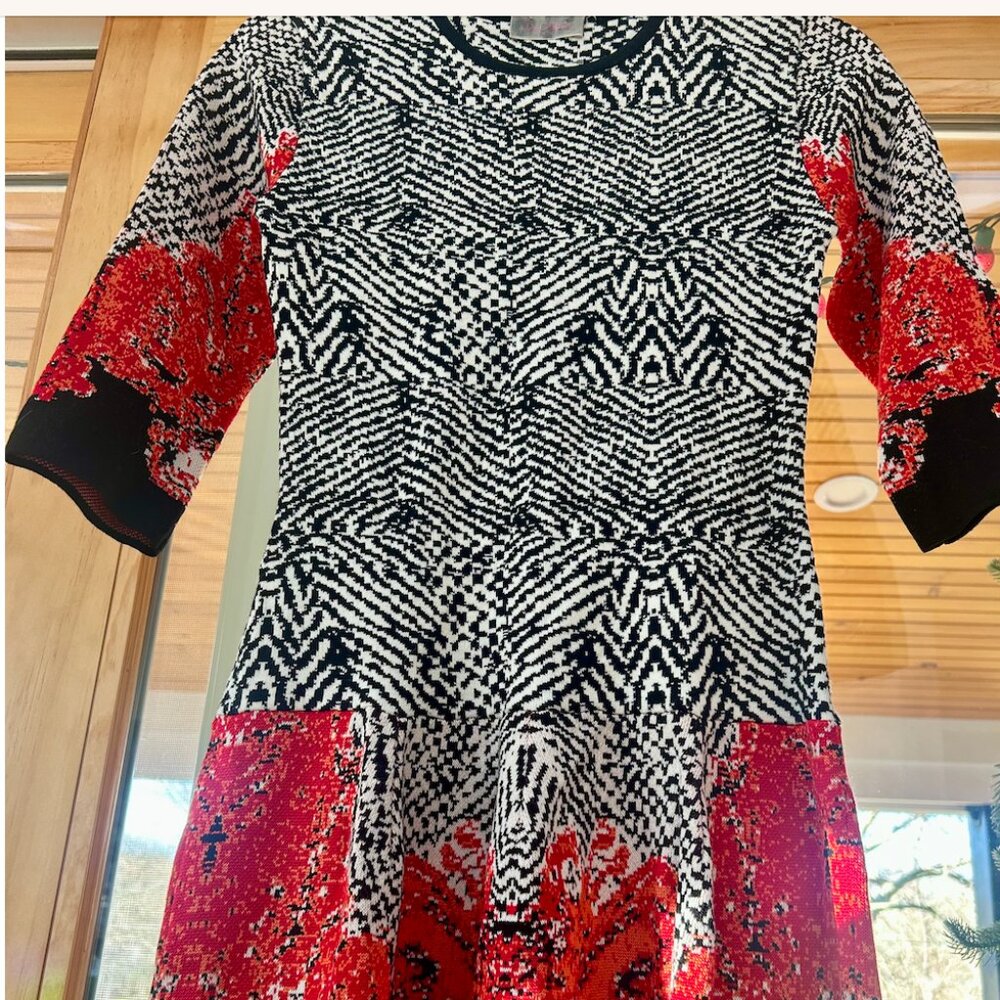 Goodee Dress!